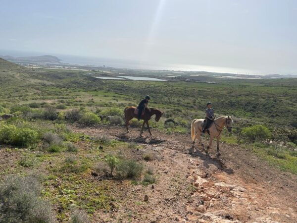 Mountain Panoramic Tour of 2 Hours - Meeting Point and Directions