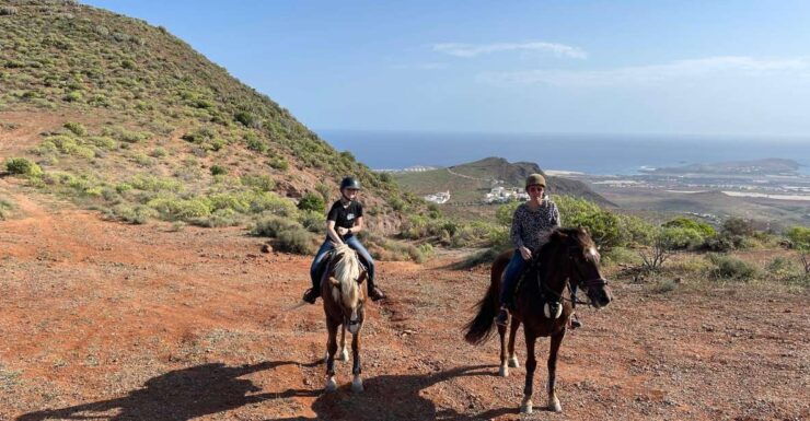 Mountain Panoramic Tour of 2 Hours - Booking Information