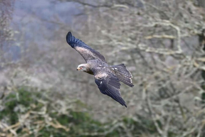 Mountain Passes & Muncaster Castle from Oxenholme - FAQ