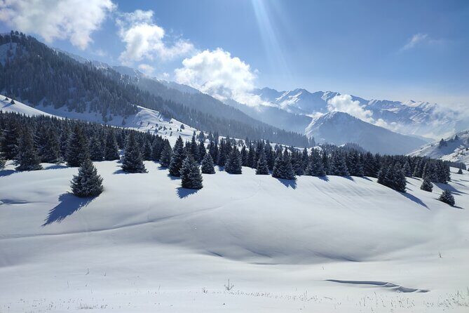 Mountain pasture Kok Zhailau The most popular trekking in Almaty - Good To Know