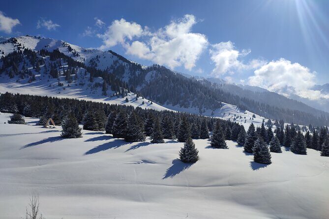 Mountain pasture Kok Zhailau The most popular trekking in Almaty - An In-Depth Look at the Kok Zhailau Trek