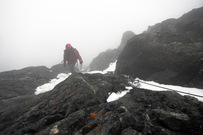 Mountain Rwenzori Trekking Uganda 9 Day Safari - Itinerary Highlights