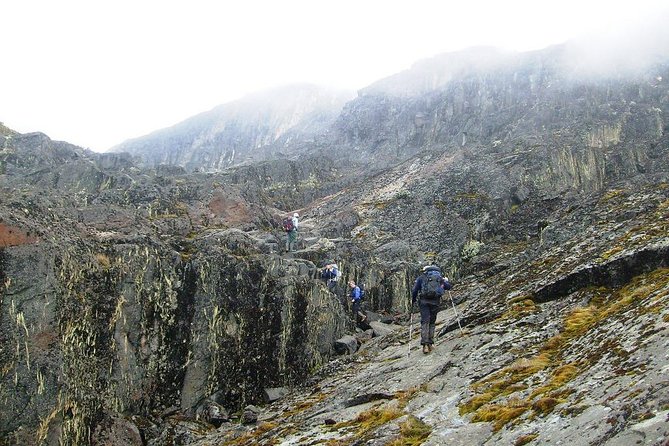 Mountain Rwenzori Trekking Uganda 9 Day Safari - Meals and Dining Options