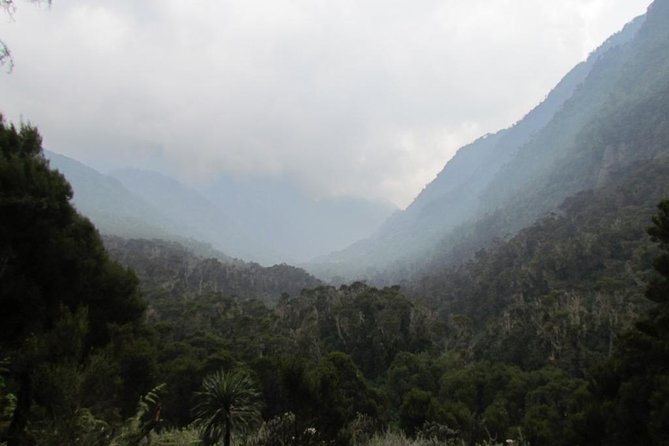Mountain Rwenzori Trekking Uganda 9 Day Safari - Safety Precautions