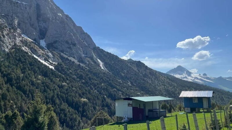 Mountain tour in Kyrgzstan dep from Tashkent - Why Choose This Mountain Tour in Kyrgyzstan?