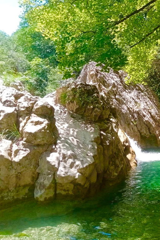 Mountain Train Experience: Hike & Mystic Forest (From Nice) - Good To Know