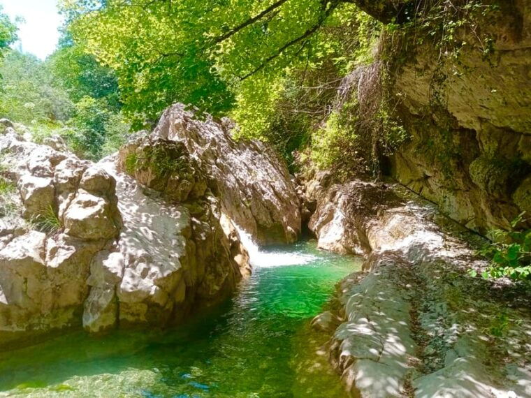 Mountain Train Experience: Hike & Mystic Forest (From Nice) - Scenic Train Journey