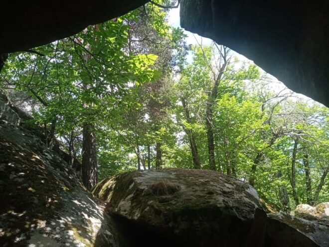 Mountain Train Experience Hiking & Mystic Forest (From Nice) - Hiking Options Available