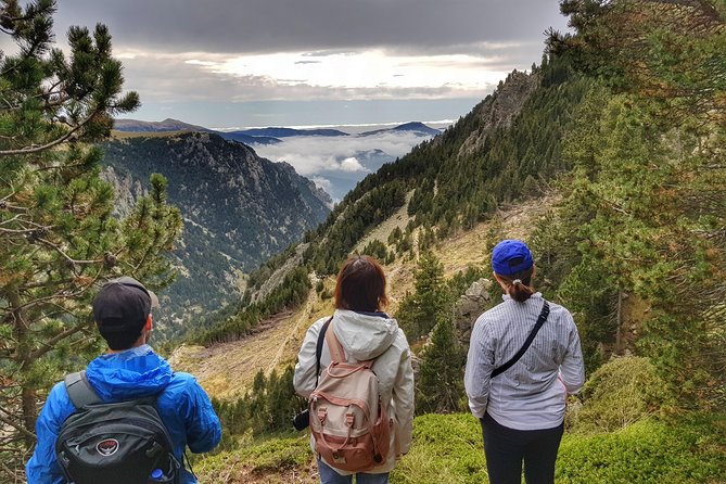 Mountain Train & Nuria Hike Pyrenees - Customer Reviews