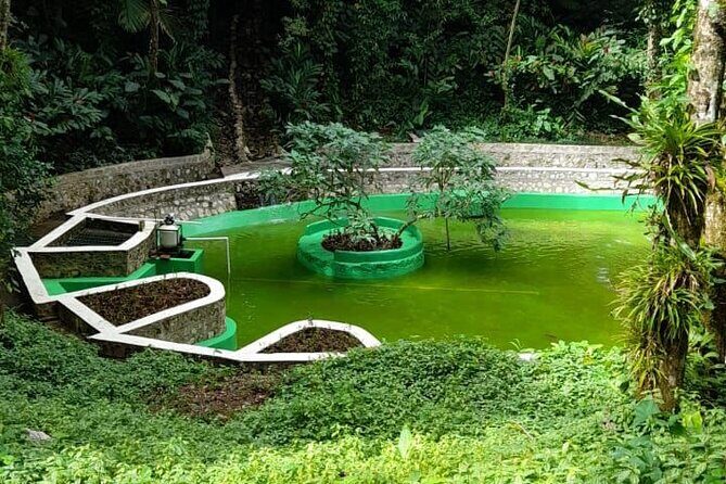 Mountain View and City Tours - Final Thoughts  