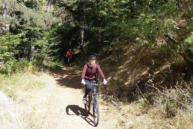 Mountainbike Magic: Viennas Forest, Danube, Monastery and Wine. - A Thrilling Mountainbike Adventure