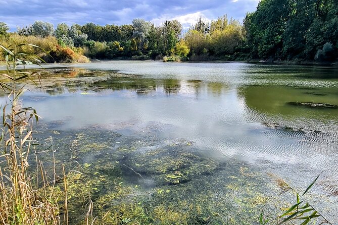 Mountainbike Magic: Viennas Forest, Danube, Monastery and Wine. - Tips for an Unforgettable Experience