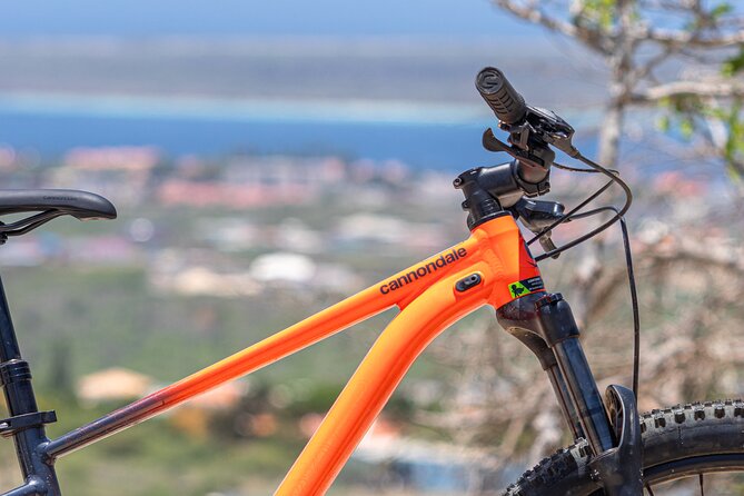 Mountainbike Rental 1 Week - Rental Options and Pricing