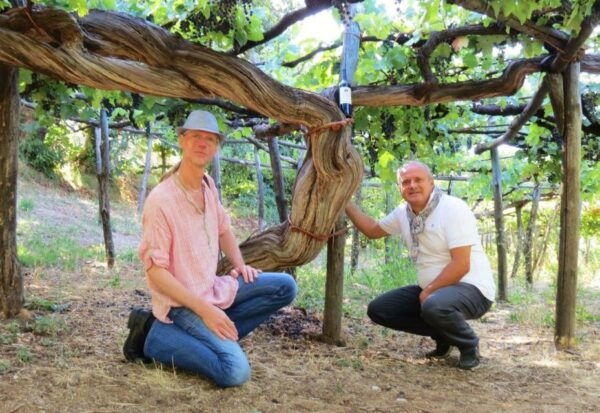 Mountains and Vineyards: the Secrets of the Coast in Calesse - Exclusive DOC Wine Tasting Opportunity