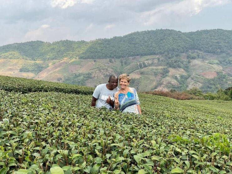 Mountains Discovery:Doi Mae Salong & Doi Tung (Private Tour) - Tour Overview