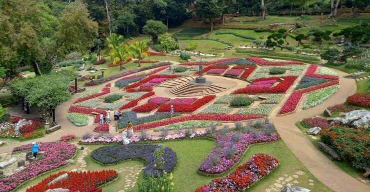 Mountains Discovery:Doi Mae Salong & Doi Tung (Private Tour) - Cultural Significance