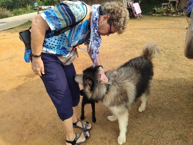 Mountains Discovery:Doi Mae Salong & Doi Tung (Private Tour) - Inclusions and Exclusions
