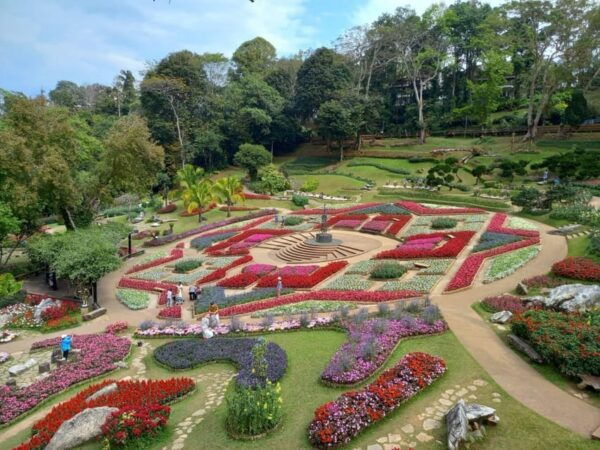 Mountains Discovery:Doi Mae Salong & Doi Tung (Private Tour) - Questions You May Have