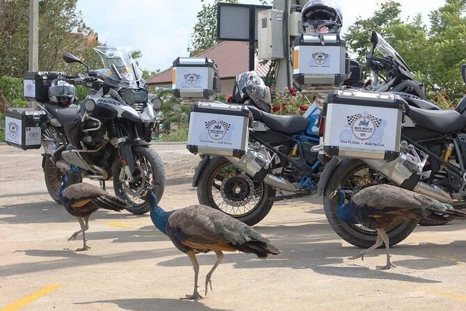 Mountains, Nature and Roads Less Travelled in the Heart of Thailand - 7 Days - Day 6: Cultural Encounters and Local Experiences