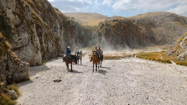 Mountains of the Abruzzo: Four Day Horseback Riding Trip - Frequently Asked Questions
