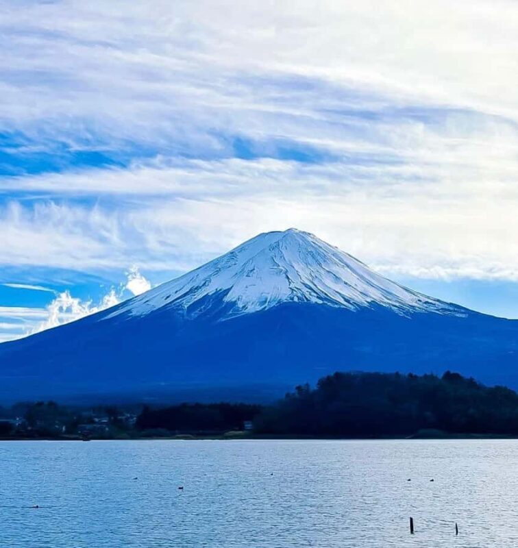 MountFuji Private Sightseeing Tour with Guide & Hotel Pickup - The Details of the Mount Fuji Private Tour