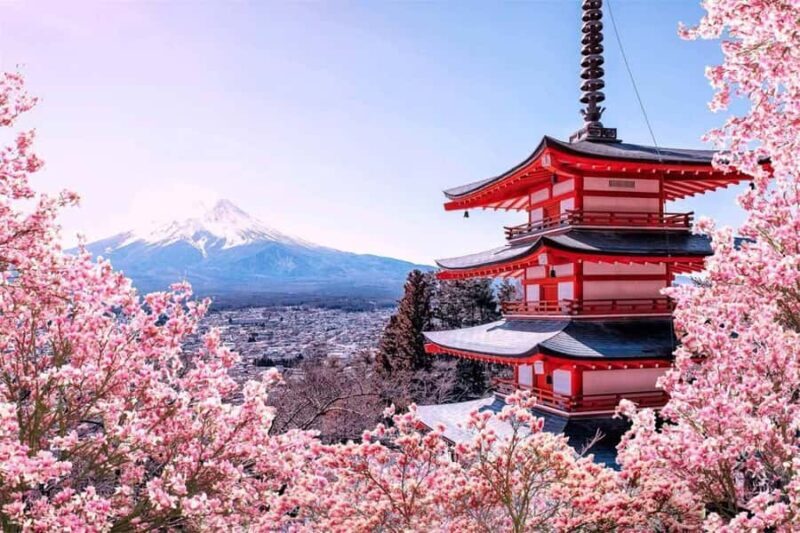MountFuji Private Sightseeing Tour with Guide & Hotel Pickup - Practical Tips for Making the Most of This Tour