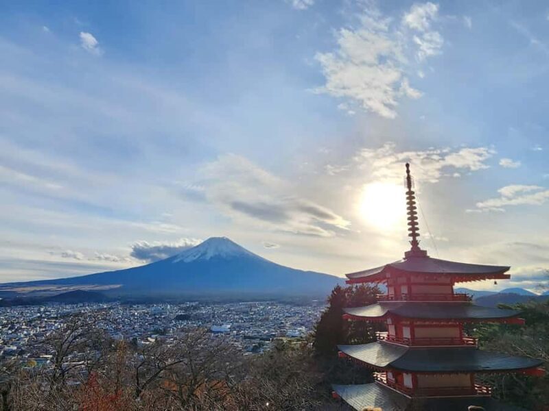 MountFuji Private Sightseeing Tour with Guide & Hotel Pickup - Who Should Consider This Tour?