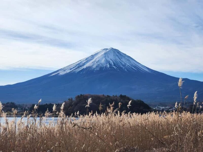 MountFuji Private Sightseeing Tour with Guide & Hotel Pickup - Frequently Asked Questions