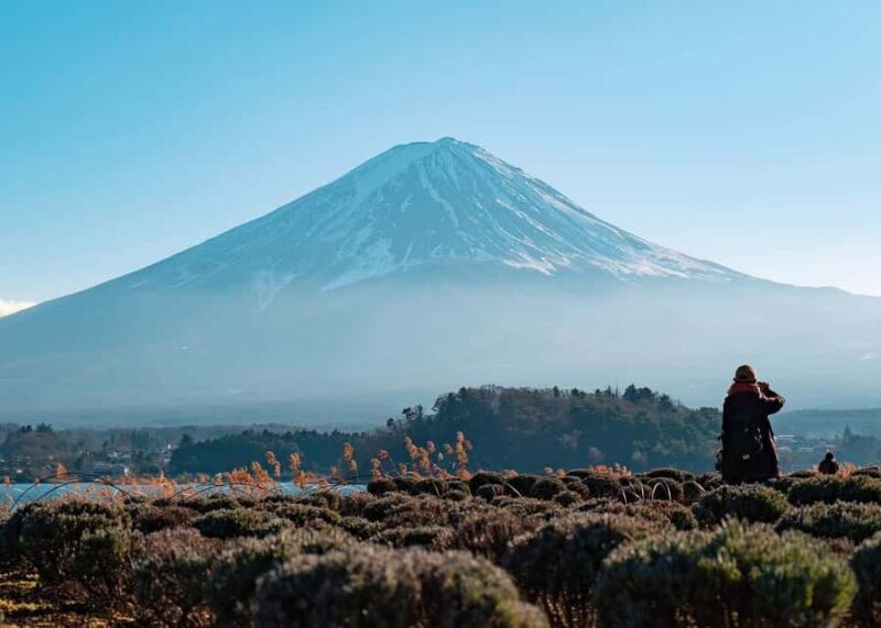 MountFuji Private Sightseeing Tour with Guide & Hotel Pickup - Final thoughts