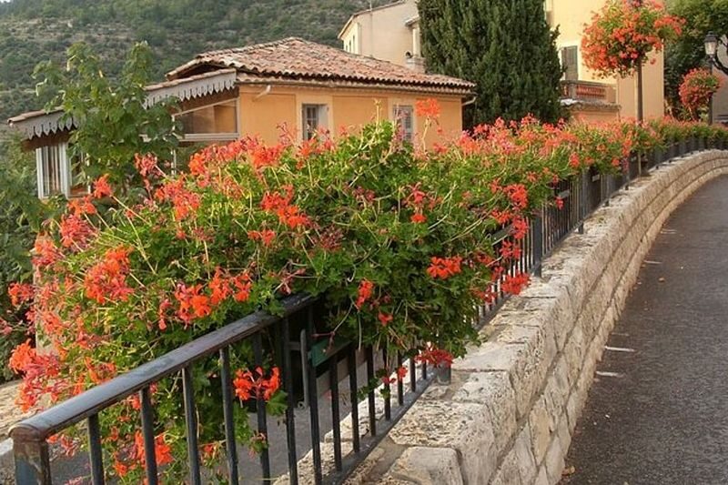 Moustiers-Sainte-Marie and Verdon Canyon Tour from Aix-en-Provence - Who will enjoy this day most
