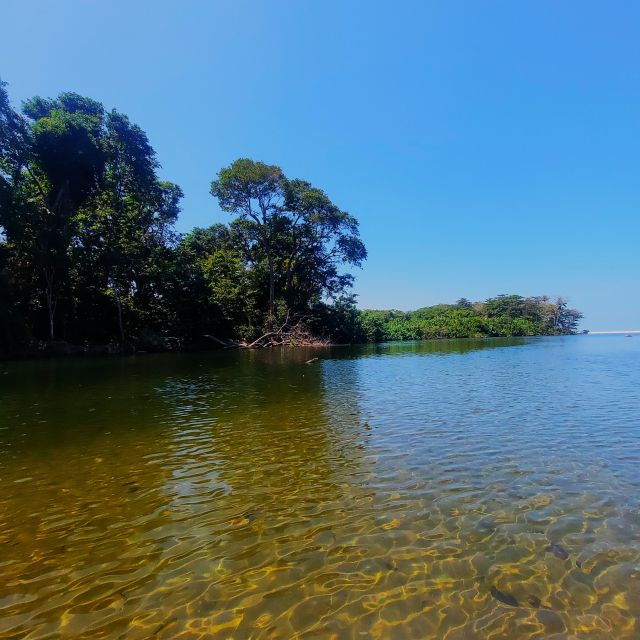 Mouth of Don Diego River - Los Cocos Beach - Good To Know