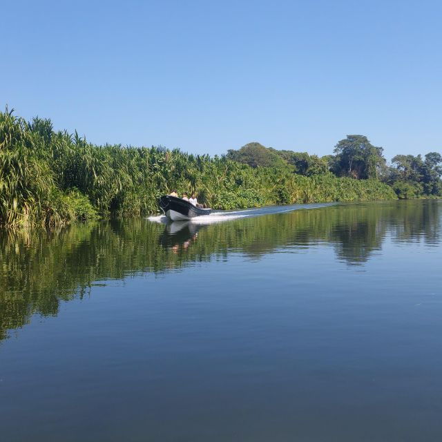 Mouth of Don Diego River - Los Cocos Beach - Experience Highlights