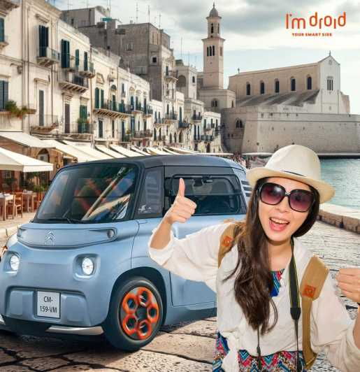 Move in the City! Rent a Microcar for Fun City Exploration - Overview of Microcar Rentals