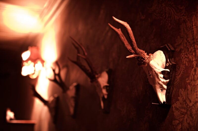 moviESCAPE Stockport Haunted House II escape room game - An In-Depth Look at the Haunted House II Escape Room Experience