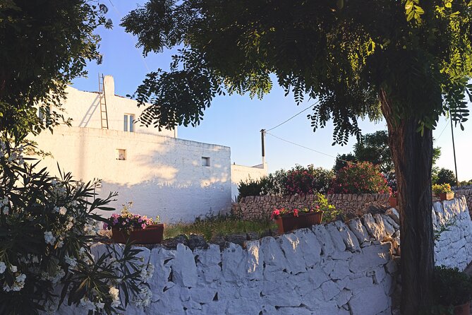 Mozzarella Experience - Cheese Tour and Tastings to Masseria Fragnite - Reviews and Testimonials