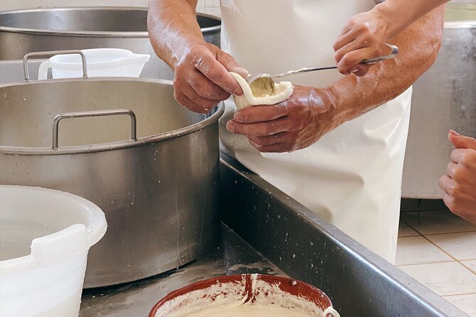 Mozzarella Experience - Cheese Tour and Tastings to Masseria Fragnite - Suitable for All Age Groups