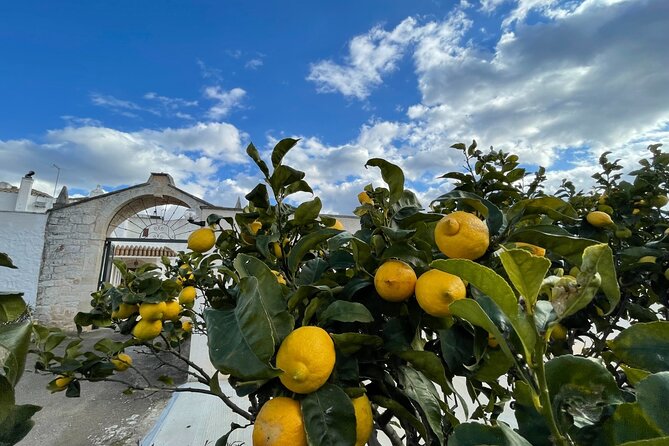 Mozzarella Experience - Booking Details