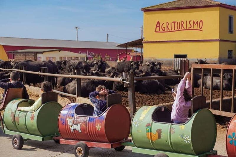 Mozzarella experience: discovering the art of cheese making - Who Should Book This Experience?