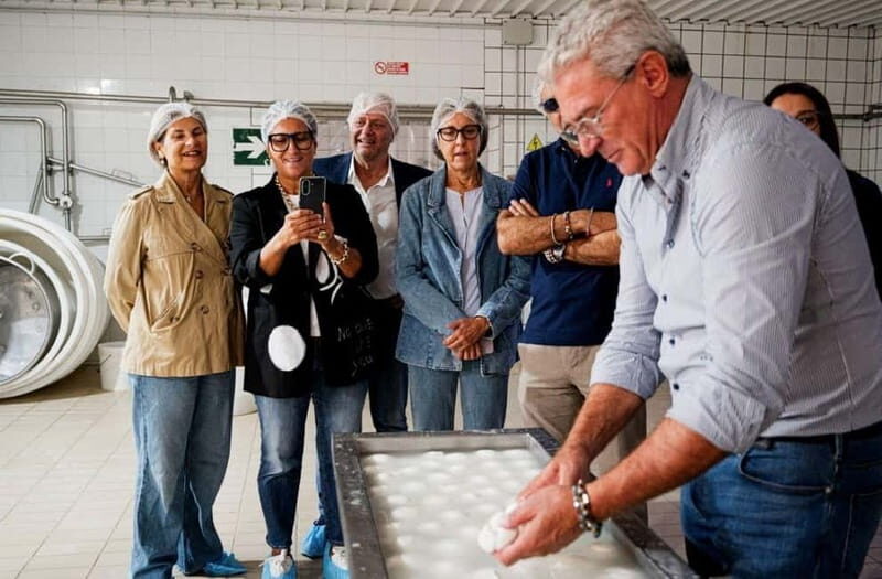 Mozzarella experience: discovering the art of cheese making - FAQs