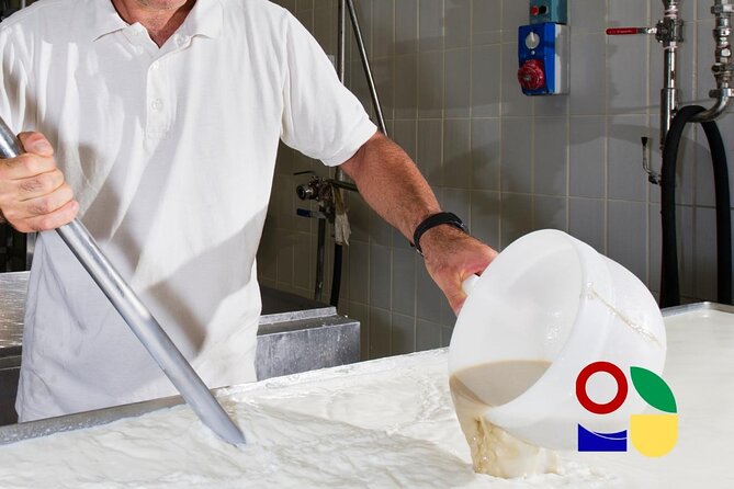Mozzarella Experience in Paestum - Tour Schedule and Expectations