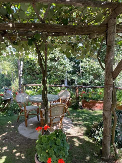 Mozzarella Gnocchi and Tiramisù Workshop in Amalfi Coast - Who Is This Tour Best For?