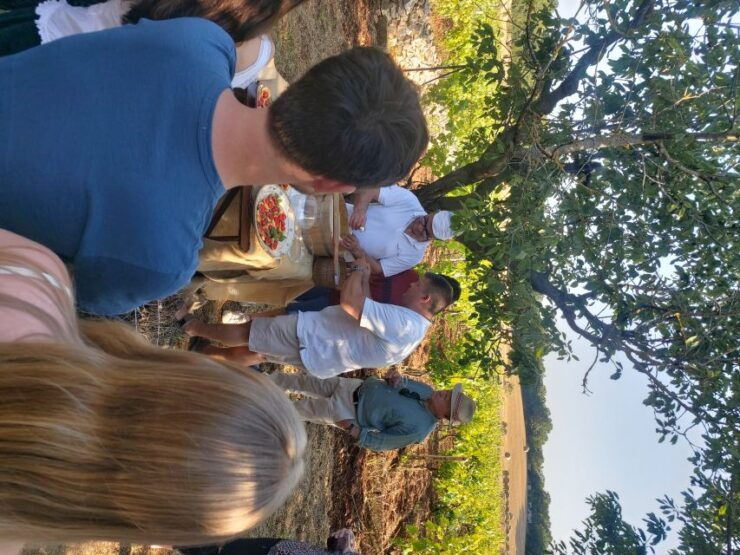 Mozzarella Making Class With Apulian Music and Dance - Experience Highlights