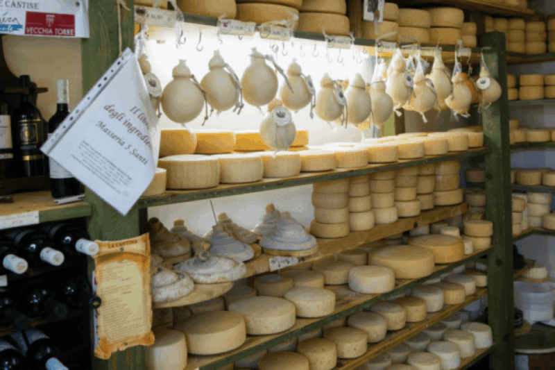 MOZZARELLA WITH YOUR OWN HANDS, EXPERIENCE ON THE FARM - What Makes This Tour Stand Out?