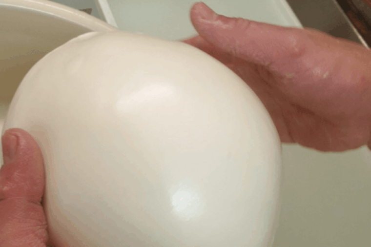 MOZZARELLA WITH YOUR OWN HANDS, EXPERIENCE ON THE FARM - Practical Details