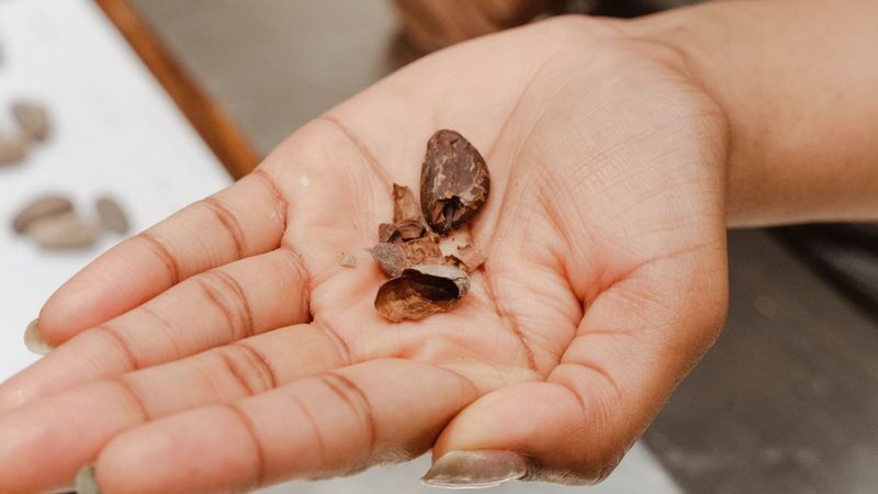 Mr. Bucket Chocolaterie at Dempsey Factory - Who will enjoy this chocolate tour