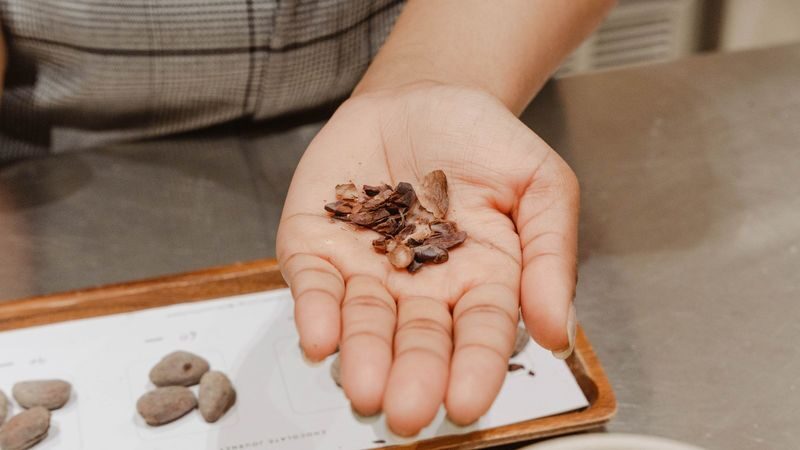 Mr. Bucket Chocolaterie at Dempsey Factory - Is the tasting worth the price?