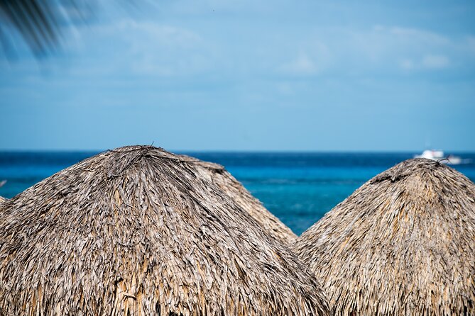 Mr. Sanchos Beach Club All-Inclusive Day Pass - Customer Reviews