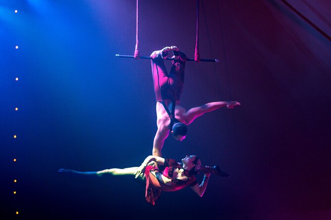 Mr. Swindles Traveling Peculiarium and Drink-Ory Garden - Important Terms and Conditions