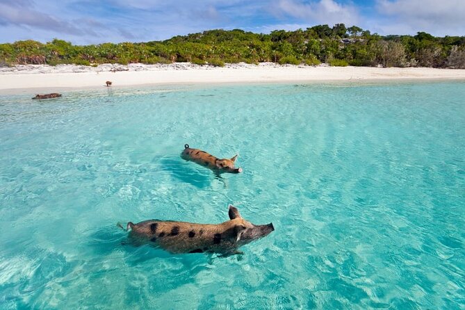 Mr Ung's Island Hopping Cruise - Tips