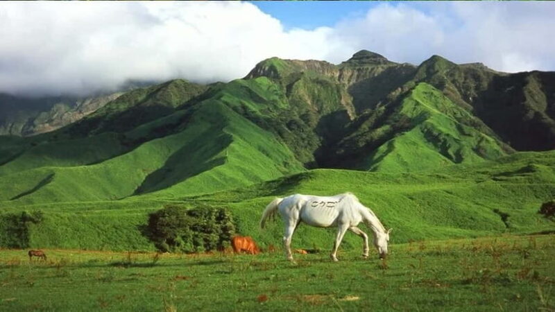 Mt. Aso & Takachiho Gorge Tour with Optional Boat Ride - Final Thoughts